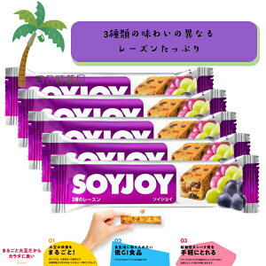 yyVX[p[SALEʉi 10%OFFzyːz SOY JOY 3̃[Y [5Zbg] 哤 sgp Oet[ GIHi A^pN 哤C\t{ H@ _CGbg h{