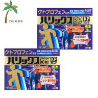 【第(2)類医薬品】ハリックス55KPパップ 18枚 [2個セット] M:4987373083020