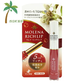 楽天市場 高級 リップ クリーム 送料無料の通販