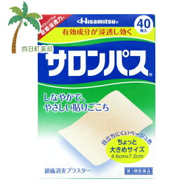 楽天市場 サロンパス 大きめの通販
