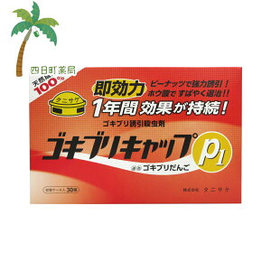 yhp򕔊OizSLuLbvP1 15 M:4962431000461