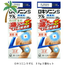 【スーパーSALE限定10%OFF】【楽天Pay利用でP10倍】ロキソニンSゲル 25g [2個セット] 肩 腰 関節 筋肉の痛み 直接 浸透 塗る 痛み止め ゲル C:4987107617903【第2類医薬品】