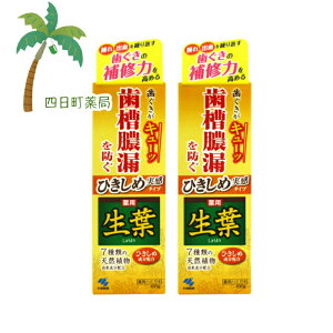 pn~KL Ђߐt 100g [2Zbg] M:4987072072752 ѐ