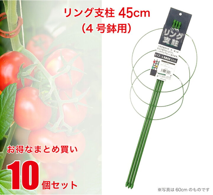 楽天市場 リング支柱 45cm 4号鉢用 10個セット まとめ買い 業務用 朝顔 あさがお エンドウ ナス 茄子 トマト とまと きゅうり キュウリ ダリア つる性植物 園芸 支柱 農業 資材 花 野菜 畑 庭 ガーデニング 家庭菜園 Fs 3 45 Set ジェイ スタイル デポ