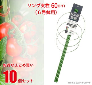 ナス 支柱の人気商品 通販 価格比較 価格 Com ナス 支柱の人気商品 通販 価格比較 価格 Com