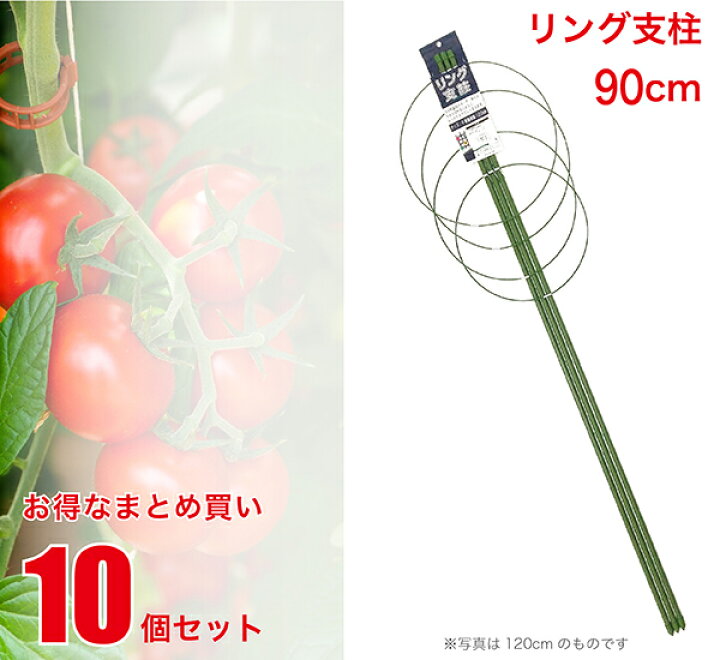 楽天市場 リング支柱 90cm 8号鉢用 10個セット まとめ買い 業務用 朝顔 あさがお エンドウ ナス 茄子 トマト とまと きゅうり キュウリ ダリア つる性植物 園芸 支柱 農業 資材 花 野菜 畑 庭 ガーデニング 家庭菜園 Fs 4 90 Set ジェイ スタイル デポ