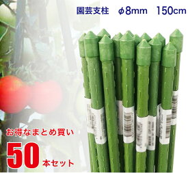 【配送エリア内の法人宛は送料無料】 園芸支柱 径8mm×長さ150cm 50本 セット 【まとめ買い】 鋼管竹 鋼管支柱 イボ竹 園芸 支柱 農業用 農業資材 花 野菜 畑 庭 ガーデニング 家庭菜園 CSP-8-150-SET-HOUJIN-ONLY