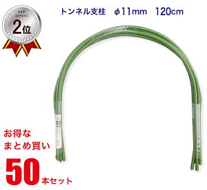 syVLO2ʁt yz glx 11mm×120cm 50{Zbg y܂Ƃߔz |ǒ| |ǎx A[`x | x _Ɨp _Ǝ     K[fjO ƒ؉ PSTP11-120
