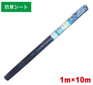 hV[g 1m×10m 悯V[g V[g V[g Gh~V[g G}V[g Gh~ G΍ _Ǝ   ƒ؉ FW-5