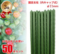 楽天市場】園芸用支柱 11mm 75cmの通販