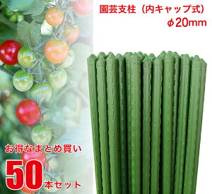 yz |x a20mm×120cm 50{ Zbg yƖpz y܂Ƃߔz |ǒ| |ǎx C{| | x _Ɨp _Ǝ     K[fjO ƒ؉ JSB-20-120-SET 10{g×5