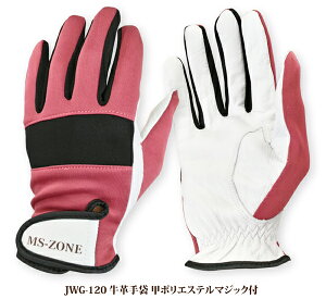 v NXg b| Ɨpv Y }WbNt Ǝ y z S؍H ^ {v 炩 JWG-120