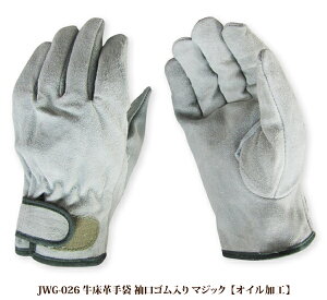 v Ɨp v }WbNt 􂦂 ICH R ȕzt Y 炩 p ㋉v {v y،z S؍H ^ AEghA JWG-026