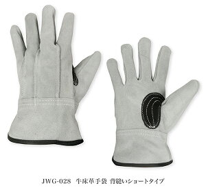 v Ɨp v v  wD Y ew⋭ {v ㋉v @B  y،z S؍H ^ AEghA JWG-028