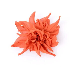 �G���J �J���@���[�j �Z�~�N�`���[�� (ERIKA CAVALLINI semi-couture) �R�T�[�W�� �V���N �I�����W c5i050225 2015AW ���f�B�[�X�H�~�V�� �������� �y���K�戵�z