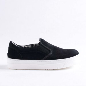 |[j (Pollini) Xb| XG[h ubN sa10323i0jt30000 ,璹iq,,  yK戵z