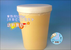 【業務用】 アイスクリン（バニラ） 5000ml 【横畠冷菓】 3本単位のご注文で送料無料!