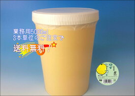 【業務用】 ゆずシャーベット 5000ml 【横畠冷菓】 3本単位のご注文で送料無料!