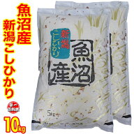 ☆精米仕立て☆食味分析80点以上☆五ツ星お米マイスター厳選米 令和7年産 新潟 魚沼産 コシヒカリ 10kg (…