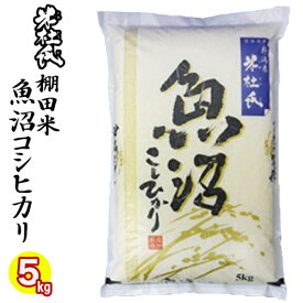 楽天市場 コシヒカリ 5kgの通販
