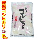 送料無料（特A1等米使用）令和元年産 新潟産 コシヒカリ 5kg（産地直送米）　新潟産 こしひかり　新潟県産 コシヒカリ 新潟県産 コシヒカリ 新潟 こしひかり...