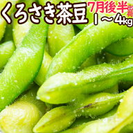 (朝採り農園直送便) 新潟ブランド 本場 人気 黒埼 茶豆 GIマーク 7月後半発送 A級品 1kg ～ 4kg くろさき…