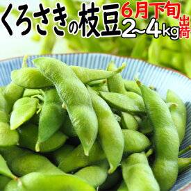 ☆数量限定特価（板井地区農園朝採り直送便）高級新潟ブランド 本場 人気 黒埼 枝豆 6月下旬発送 A級品 2kg ～ 3kg くろさき枝豆 朝どり枝豆 黒崎 くろさき えだ豆 黒崎 新潟 お土産 新潟 名産 枝豆 お中元 ギフト 枝豆 ギフト 送料無料クール便 お中元 枝豆 美味しい