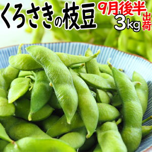 ʌin_̂蒼ցjVuh { lC  } 9㔼 Ai 2kg ` 3kg 낳} ǂ}  낳   V yY V Y 