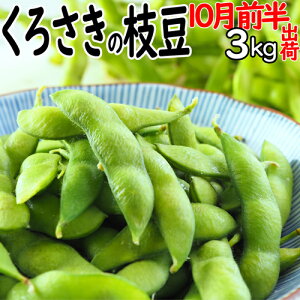 ʌin_̂蒼ցjVuh { lC  } 10O Ai 2kg ` 4kg 낳} ǂ}  낳   V yY V Y