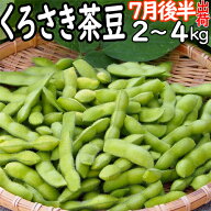 くろさき茶豆 (板井地区農園朝採り直送便) 新潟ブランド枝豆 本場 黒埼茶豆 GIマーク 7月後半発送 A級品 …