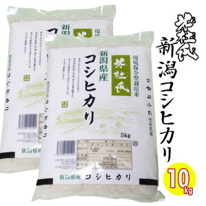 V ʌ聙ă}CX^[I ߘa7NY VY RVqJ 10kg (5kgx2)   ēm V RVqJ VY RVqJ Yn ቷqɊǗ V  ēm Ďd