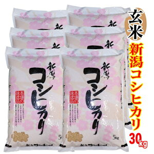 āٕς݌ā V ߘa7NY VY RVqJ  30kg@(5kgx6ji1āj VY RVqJ V RVqJ  V RVqJ 30L    RV