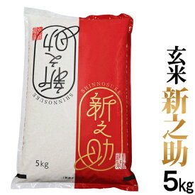 玄米【異物除去調整済み玄米） 令和5年産 新潟産 新之助 玄米 5kg （1等玄米）新潟最高ブランド お米 新之助 新潟県産 玄米 お米 ギフト 新之助 玄米 玄米 新之助 新潟 お米 ギフト 送料無料 産地直送米 低温倉庫管理