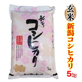 玄米★異物除去調整済み★ 新米 令和7年産 新潟県産 コシヒカリ 玄米 5kg 玄米 新潟産 コシヒカリ 新潟 コシヒカリ 玄米 新潟 コシヒカリ 5キロ 玄米 お米 玄米 コシヒカリ ★産地直送米★ 低温倉庫管理米