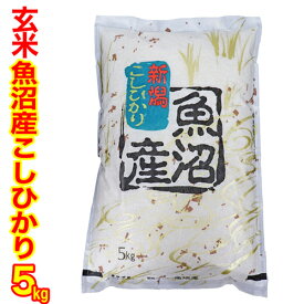 玄米（異物除去調整済み玄米） 令和7年産 新潟 魚沼産 コシヒカリ 玄米 5kg 新潟県産 魚沼産 コシヒカリ 魚沼産 コシヒカリ お歳暮 ギフト 誕生日プレゼント 玄米　低温倉庫管理米
