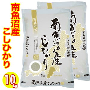 新米 お米マイスター厳選 令和7年産 南魚沼産 コシヒカリ 10kg (5kg×2) 白米 精米 (特A産地) お米 米 新潟県産 魚沼産 新潟産 コシヒカリ (産地直送米)精米仕立て発送 低温倉庫管理米