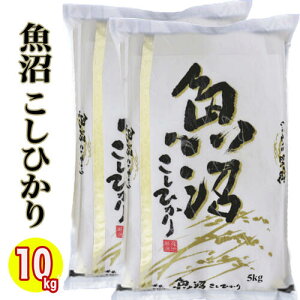 V ߘa7NY Y RVqJ 10kg (5kg×2) (Yn)   VY RVqJ Y VY RVqJ V yY V   Mtg YRVqJ ĎdĔ ቷ