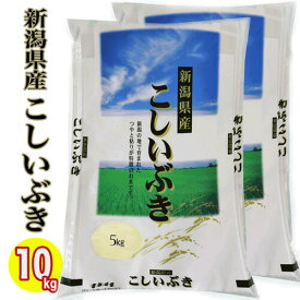 令和7年産 新潟県産 こしいぶき 10kg (5kg×2) 白米 精米 新潟産 こしいぶき お米 新潟 お土産 お米 10キロ 新潟 こしいぶき ★精米仕立て 新潟 米 産地直送米 低温倉庫管理
