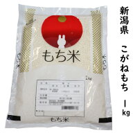 精米仕立て★当店お勧め★【もち米の王様】 令和7年産 新潟県産 こがねもち 1kg 精米 白米 【100％単一原…