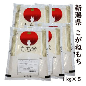 X߁yẲlz ߘa7NY VY ˂ 1kg×5   y100PꌴāzVY ˂ ōi Ԕ    V ݕ  Yn 