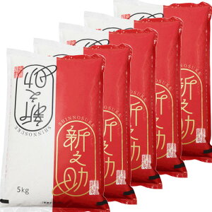 Ďd ܃că}CX^[I1 V ߘa7NY VV 25kg (5kg×5)   Vōuh1āĎdĔ V yY  Mtg RVqJ VY  