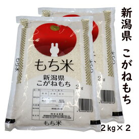 ★当店お勧め★【もち米の王様】 新米 令和7年産 新潟県産 こがねもち 2kg×2 精米 白米 【100％単一原料米】新潟産 こがねもち 最高級品もち米 赤飯 お正月 おもち 餅 新潟 餅米 おこわ 産地直送米 精米日の新しいお米です 低温倉庫管理米
