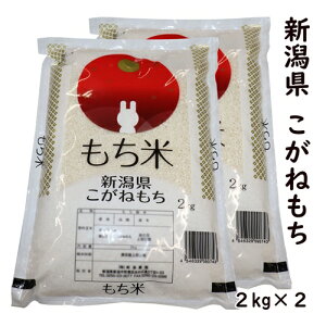 X߁yẲlz V ߘa7NY VY ˂ 2kg×2   y100PꌴāzVY ˂ ōi Ԕ    V ݕ  Yn