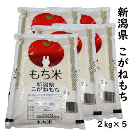 ★当店お勧め★【もち米の王様】 令和7年産 新潟県産 こがねもち 2kg×5 精米 白米 【100％単一原料米】新潟産 こがねもち 最高級品もち米 赤飯 お正月 おもち 餅 新潟 餅米 おこわ 産地直送米 精米日の新しいお米です もち米 10キロ 低温倉庫管理米