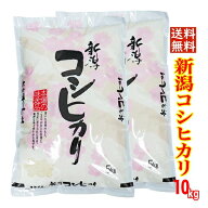 ☆食味分析80点以上☆五ツ星お米マイスター厳選米☆ 令和7年産 新潟産 コシヒカリ 10kg （5kgx2）白米 精…