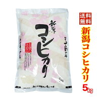 ☆食味分析80点以上 ☆五ツ星お米マイスター厳選米 令和7年産 新潟産 コシヒカリ 5kg 白米 精米 新潟県産…