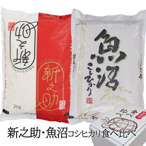 V Ďd Vuh Hה׃Zbg V ߘa7NY VV Y RVqJ 4kg(2kg×2) Ďd    Mtg lߍ킹 V Zbg  RVqJ V  VV