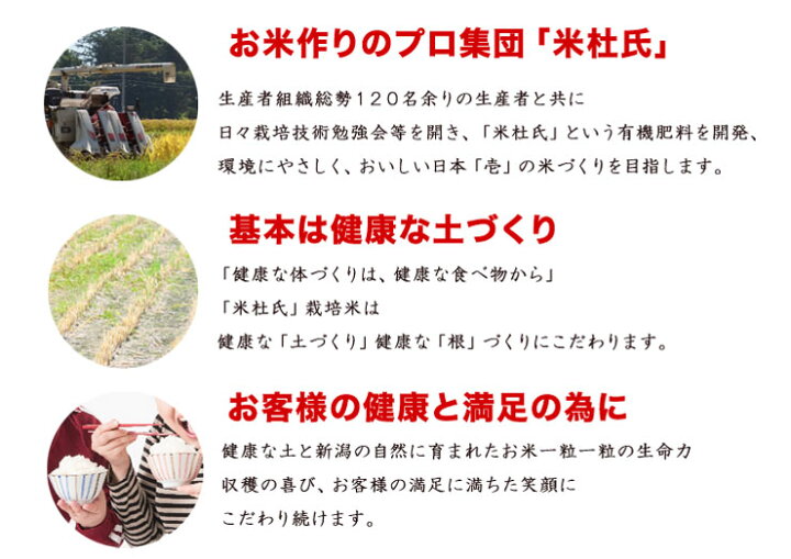 楽天市場 新潟ブランド米 新米 令和４年産 新潟県産こしいぶき 10kg 5kgx2 米杜氏 特別栽培米 白米 精米 新潟 コシイブキ 新潟県産 こしいぶき 新潟ブランド米 精米日の新しいお米です 産地直送米 1等米使用 新米 令和４年 産地直送米 低温倉庫管理米 越後雪国