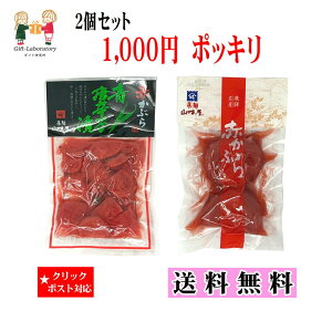 【1000円ポッキリ 送料無料】赤かぶら青唐辛子漬&赤かぶら 送料無料 1000円ポッキリ 2個セット クリックポスト対象 赤かぶら 飛騨 山味屋