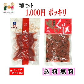 【1000円ポッキリ 送料無料】赤かぶら&くいしんぼう 送料無料 1000円ポッキリ 2個セット クリックポスト対象 赤かぶら 飛騨 山味屋